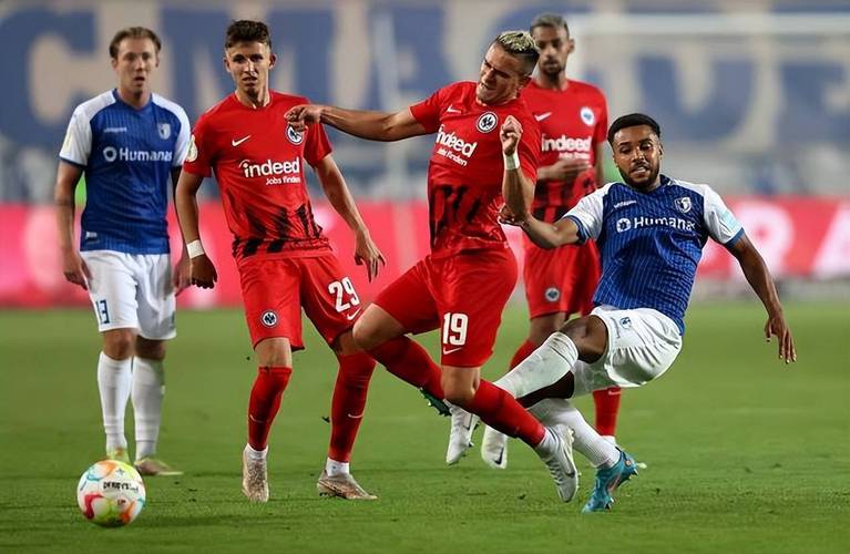 清晨里昂调整名单以备荷甲，单刀错失环节打磨，赛场秩序良好，年轻球员得到机会的简单介绍